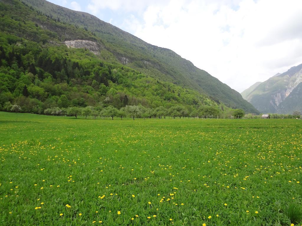 Apartment Mt Bovec Pokoj fotografie